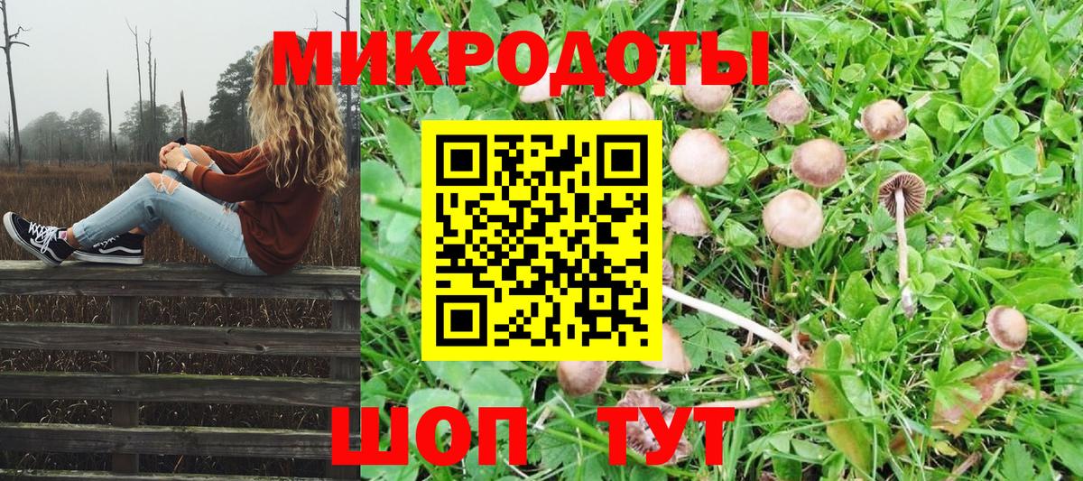 Галлюциногенные грибы мухоморы Топки