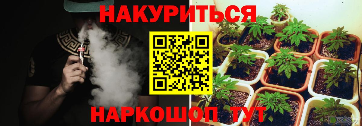 Бошки марихуана конопля Топки
